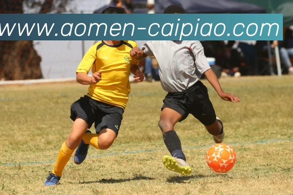 澳门彩平台生态图